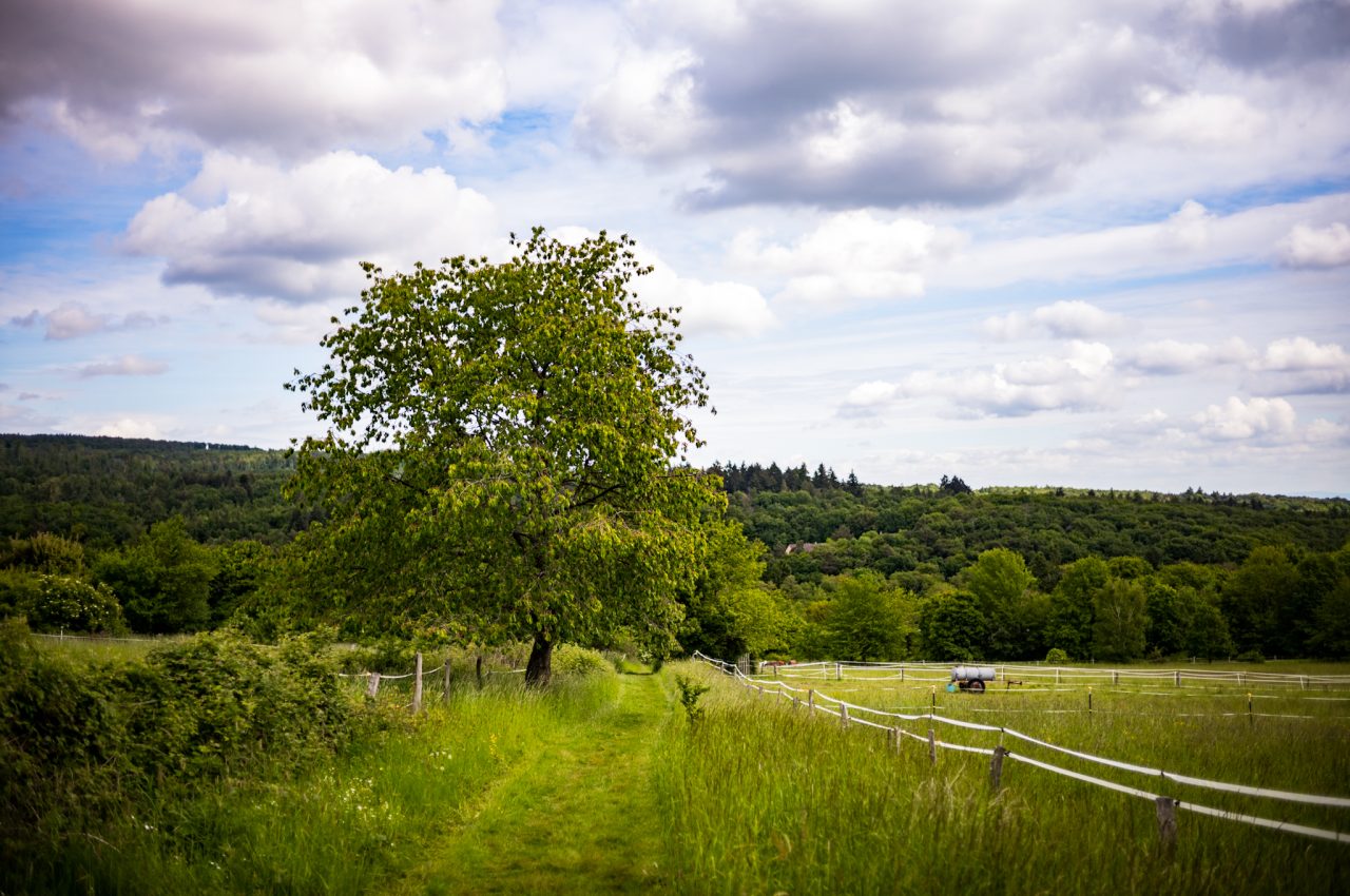 Landschaftsaufnahme