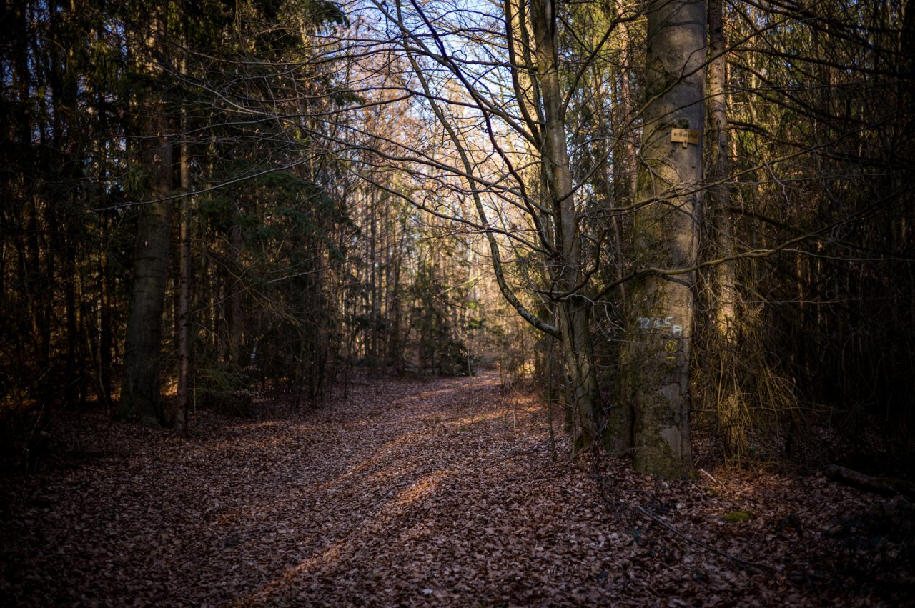 Ober-Ramstadt, Darmstadt-Dieburg
