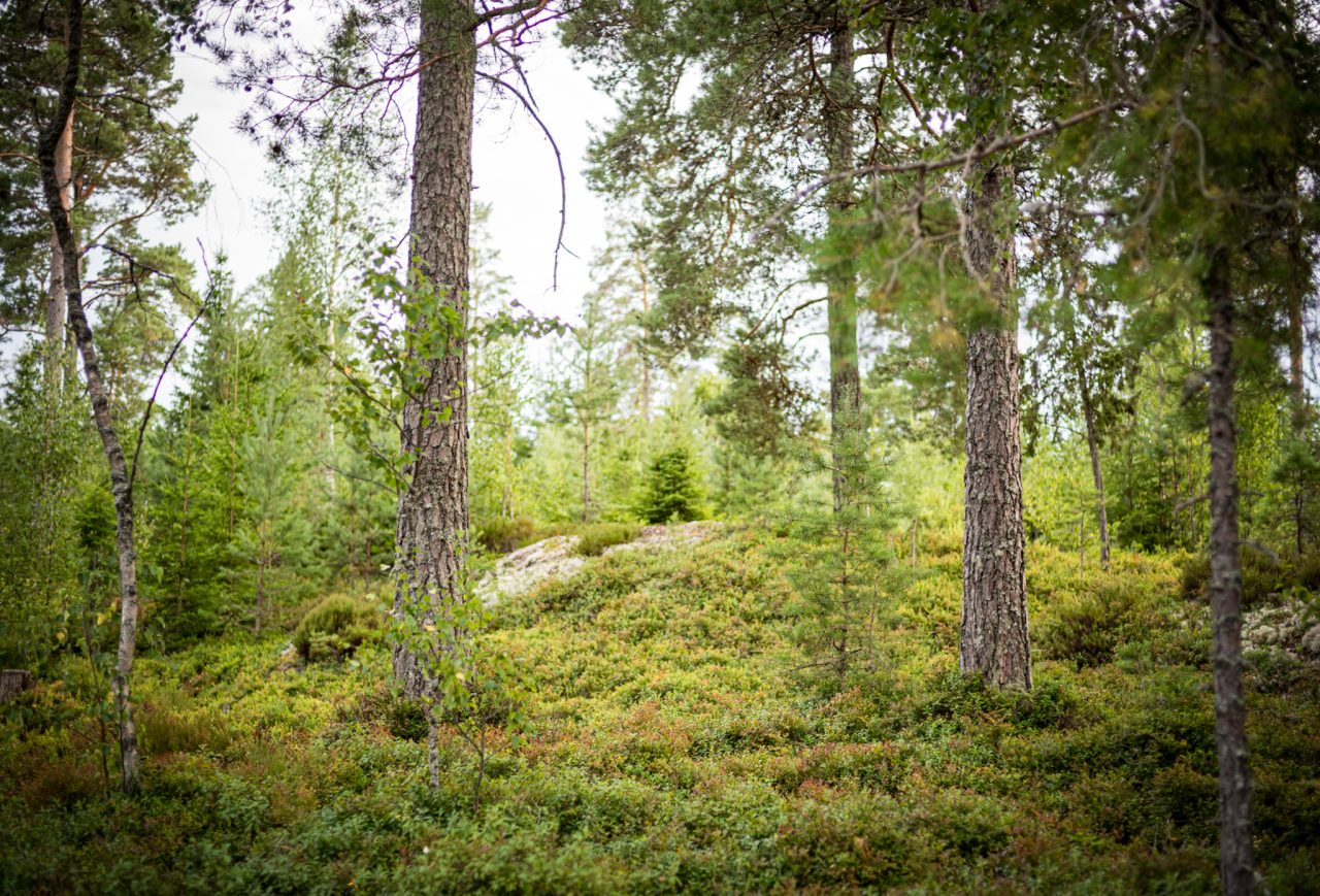 Årjäng, Värmland, Schweden
