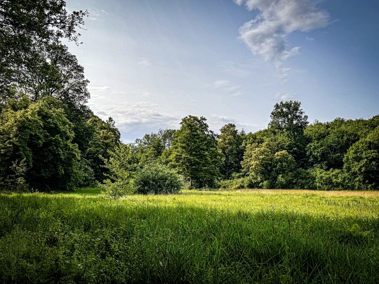Darmstadt, Hessen