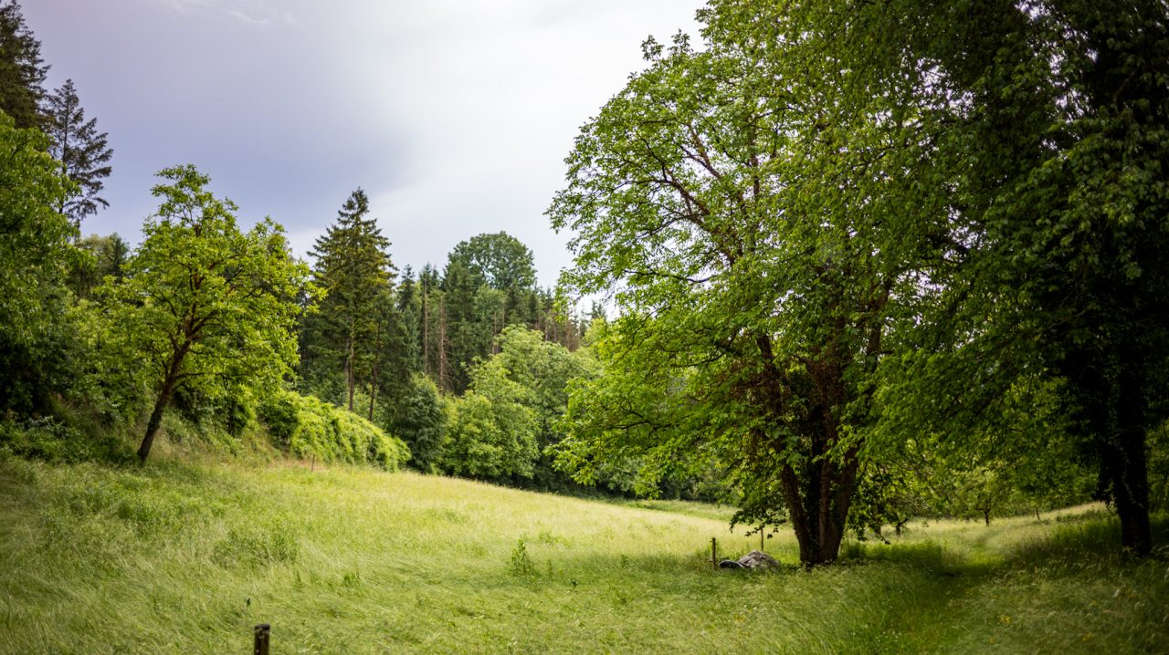 Landschaftsaufnahme