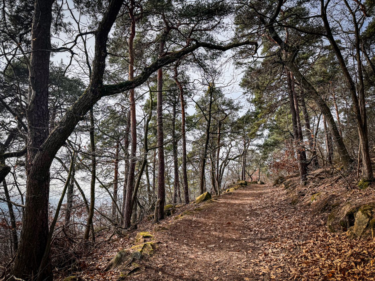 Ruppertsberg, Bad Dürkheim