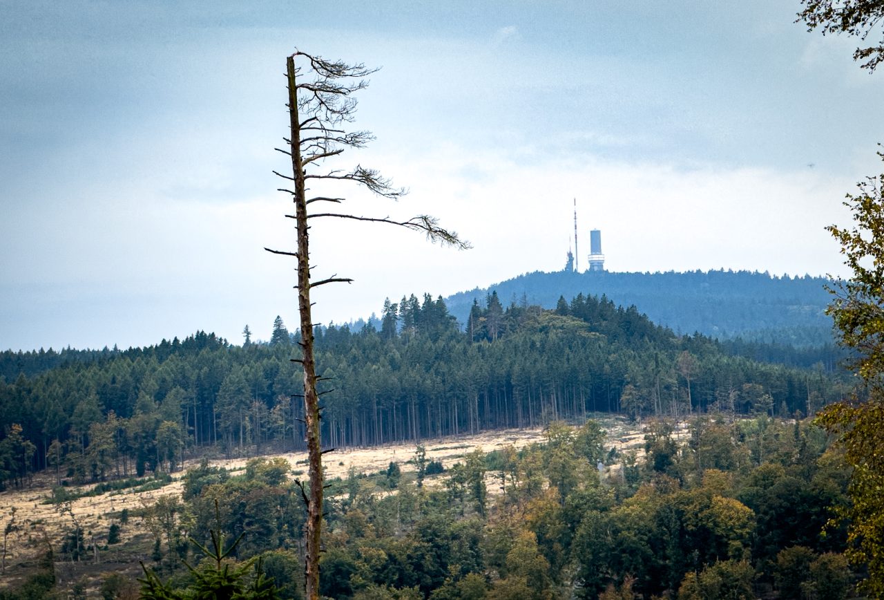 Obernhain, Hochtaunuskreis