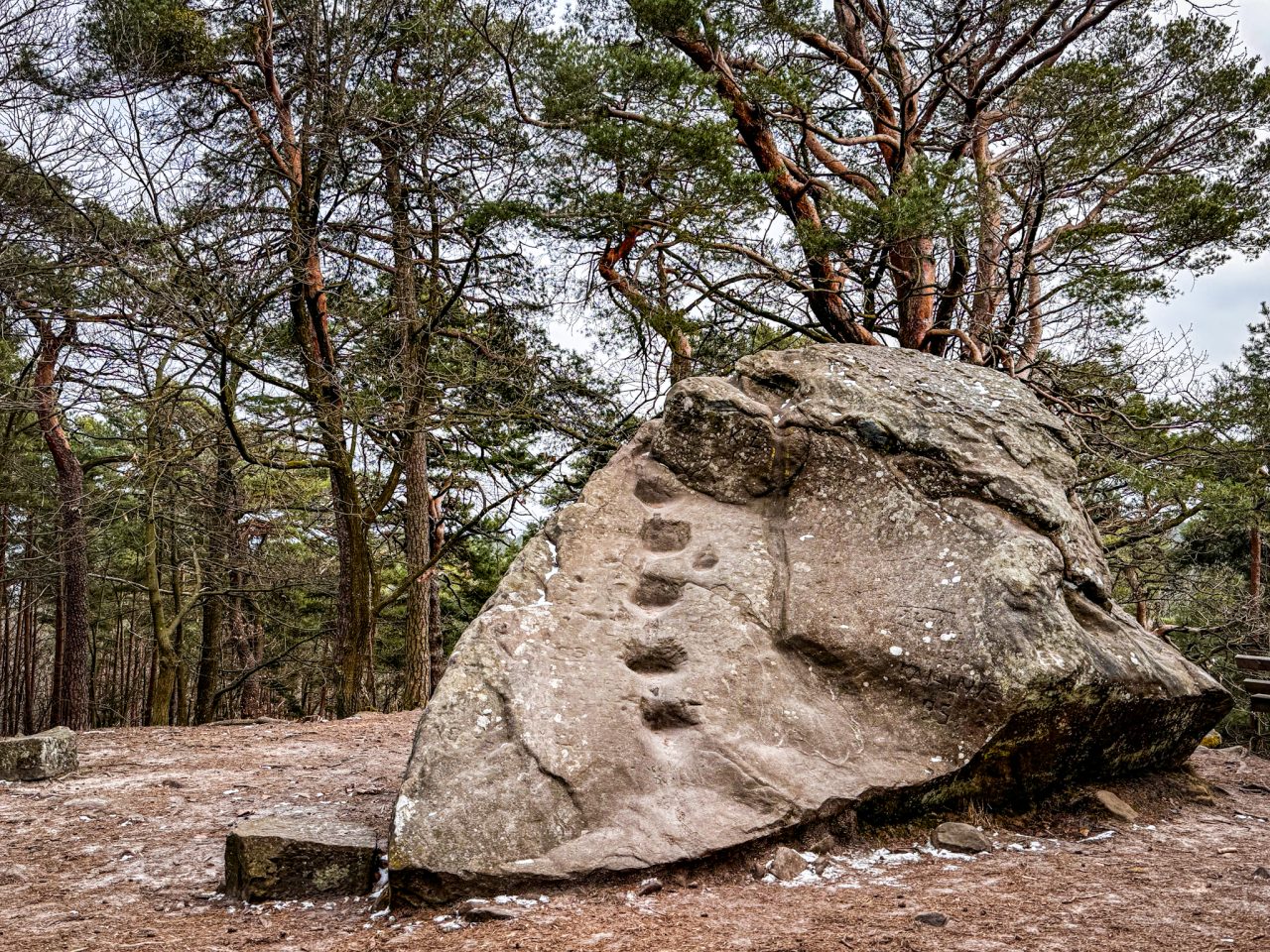 Bad Dürkheim
