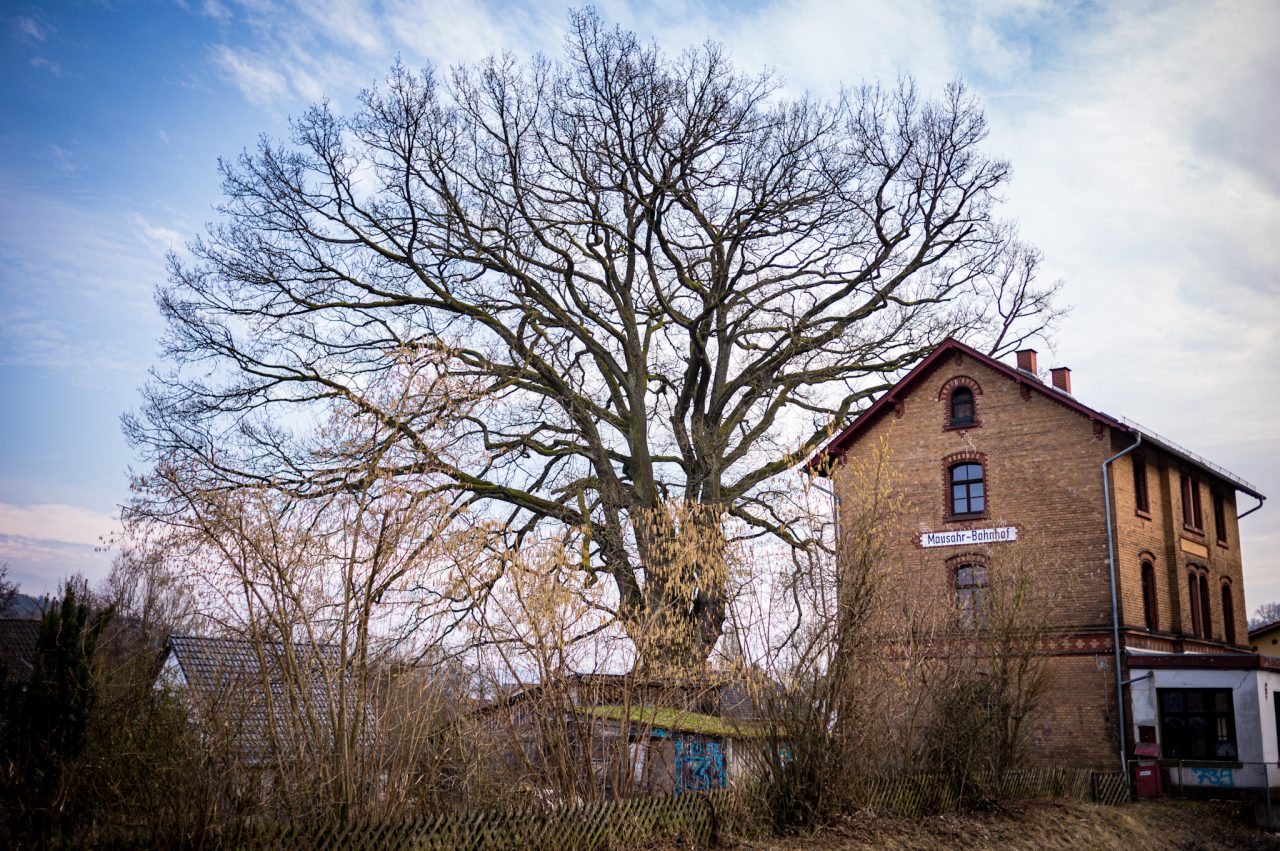 Mümling-Grumbach, Odenwaldkreis
