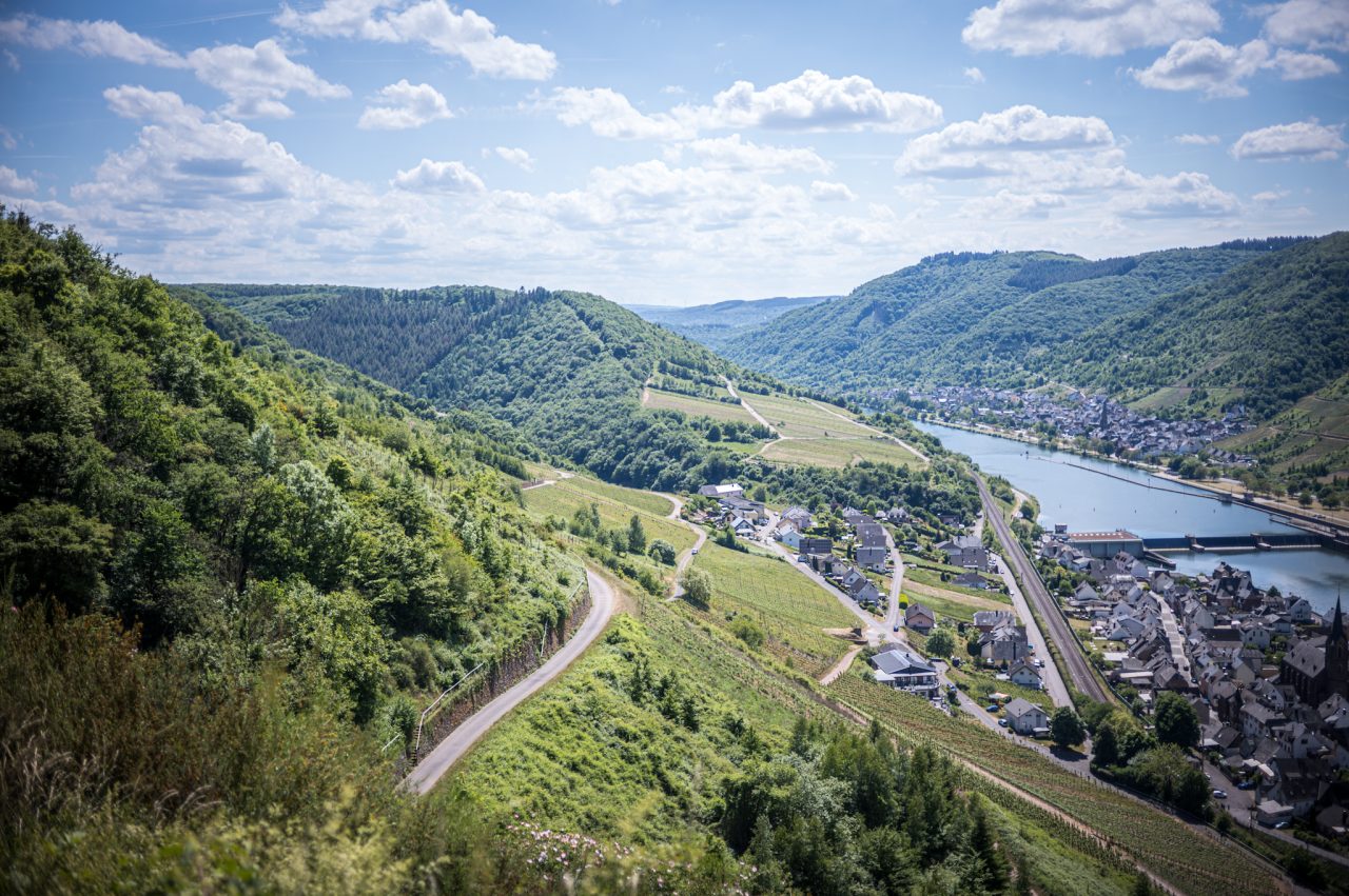 Neef, Cochem-Zell