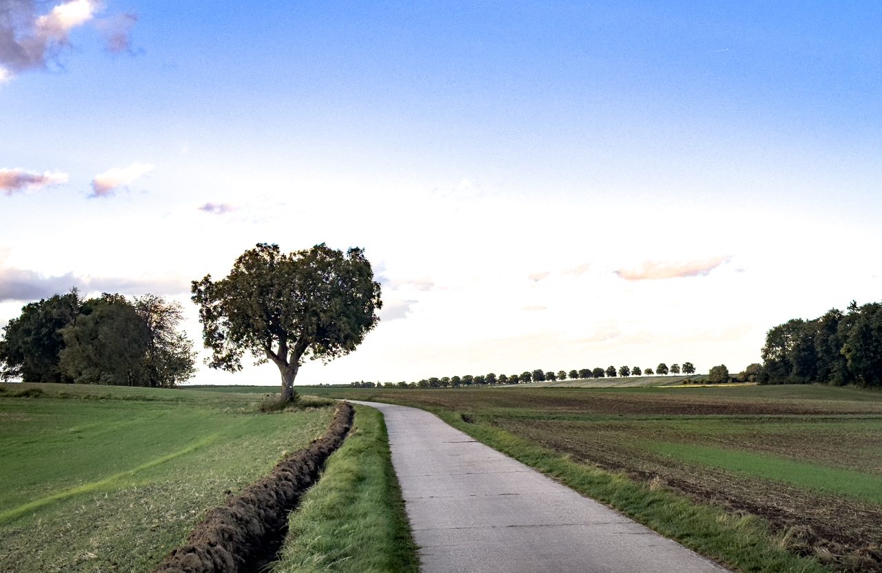Rohrbach, Darmstadt-Dieburg
