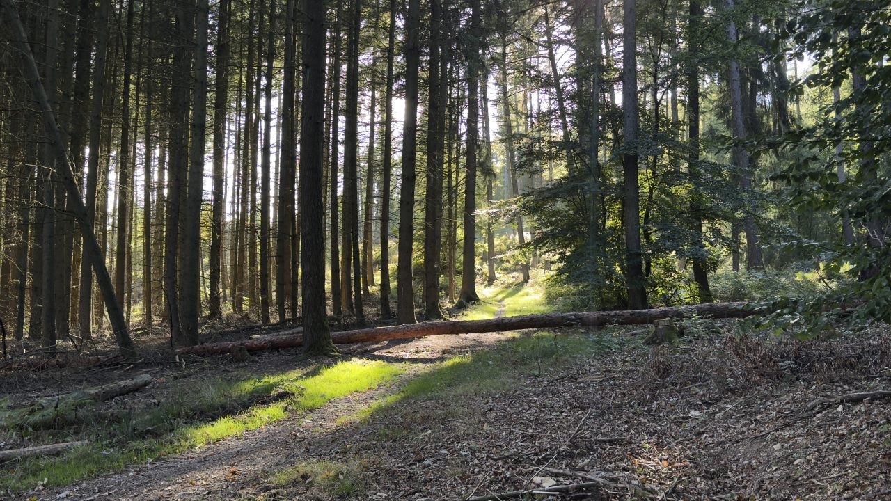 Friedrichsdorf, Hochtaunuskreis