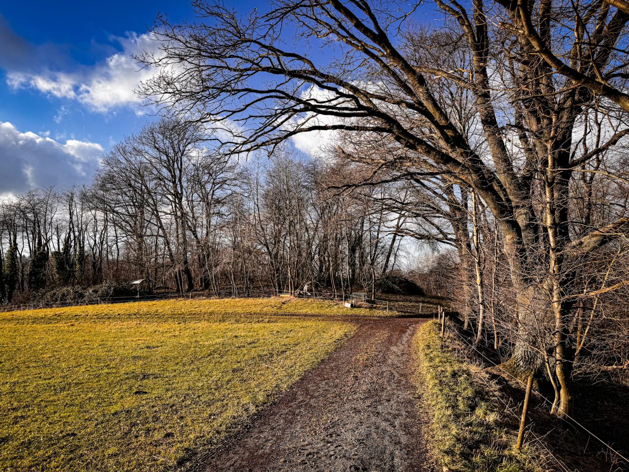 Waschenbach, Darmstadt-Dieburg
