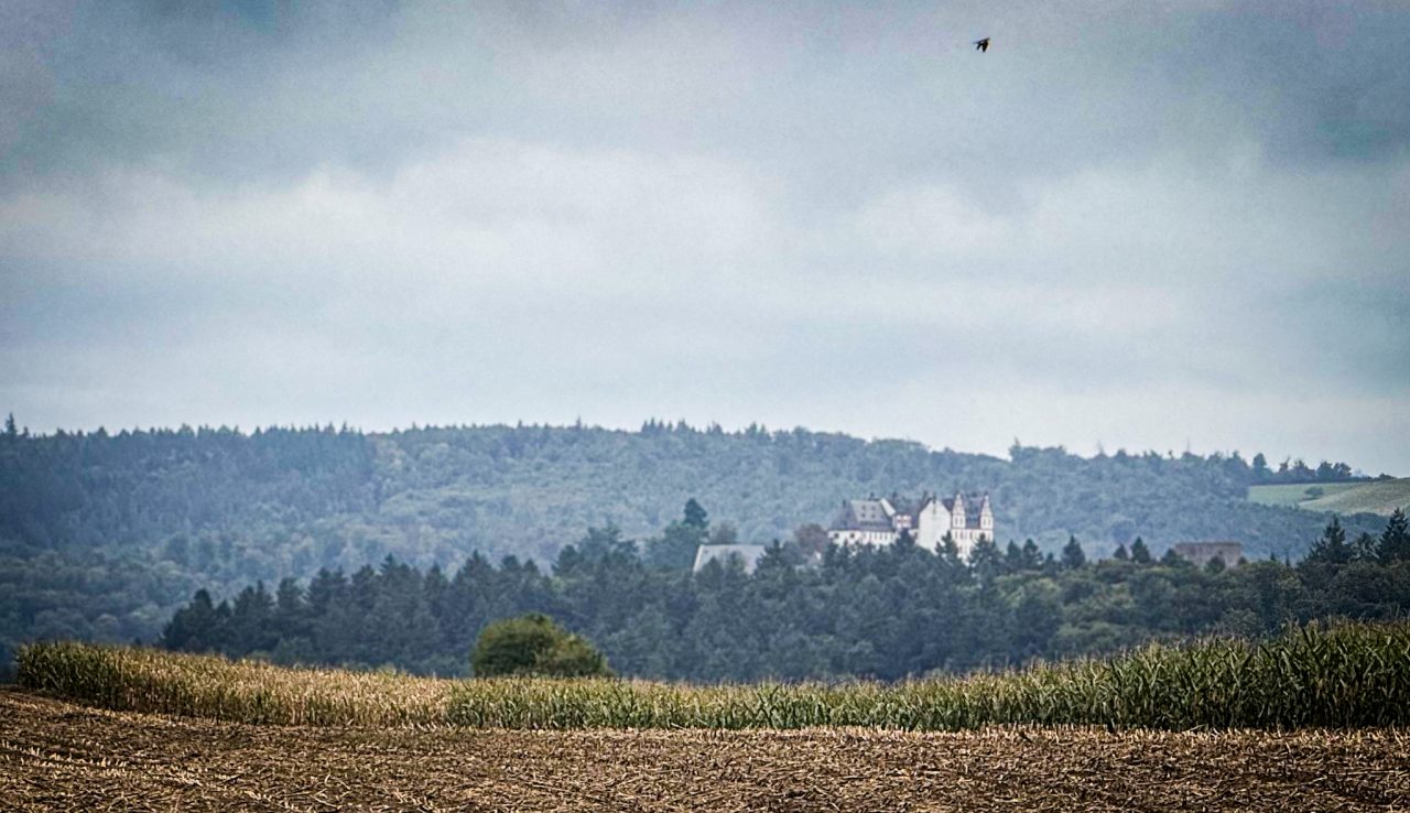 Rodau, Darmstadt-Dieburg