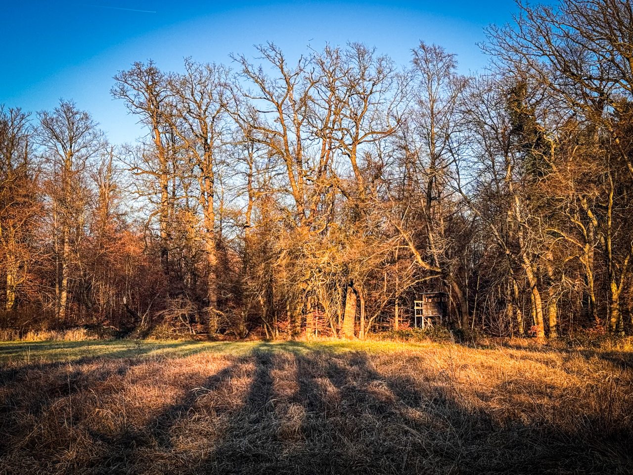Darmstadt, Hessen