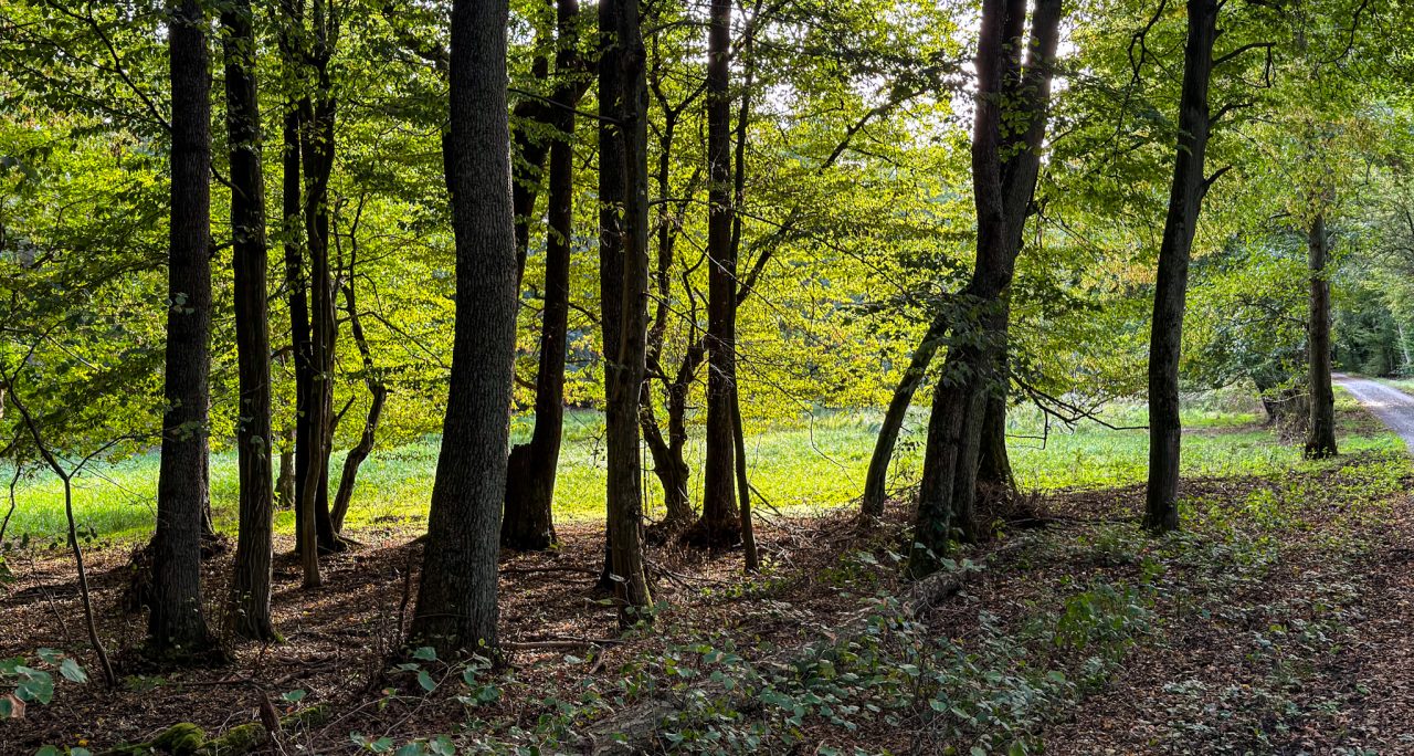 Landschaftsaufnahme