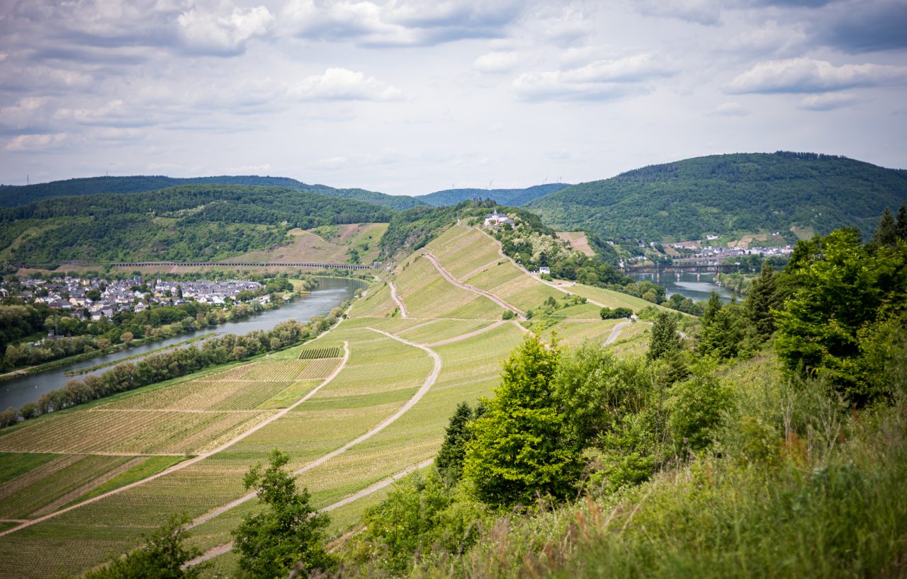 Briedel, Cochem-Zell