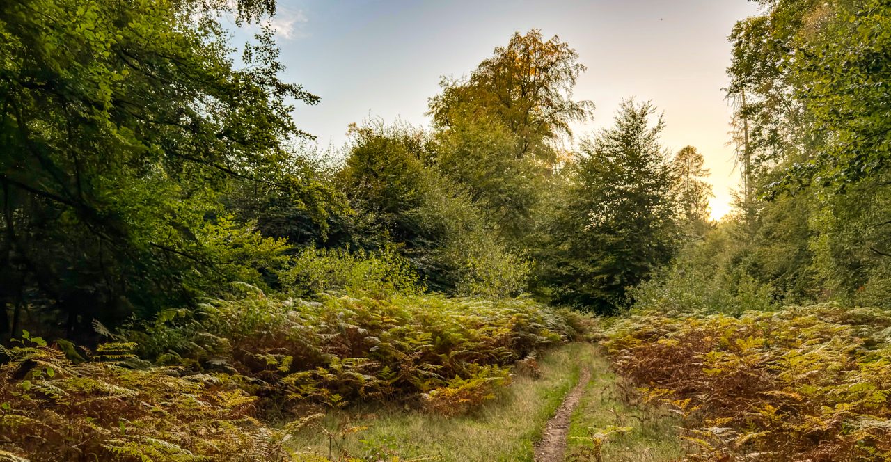 Landschaftsaufnahme