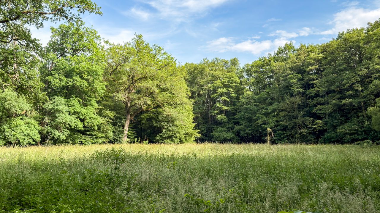 Darmstadt, Hessen