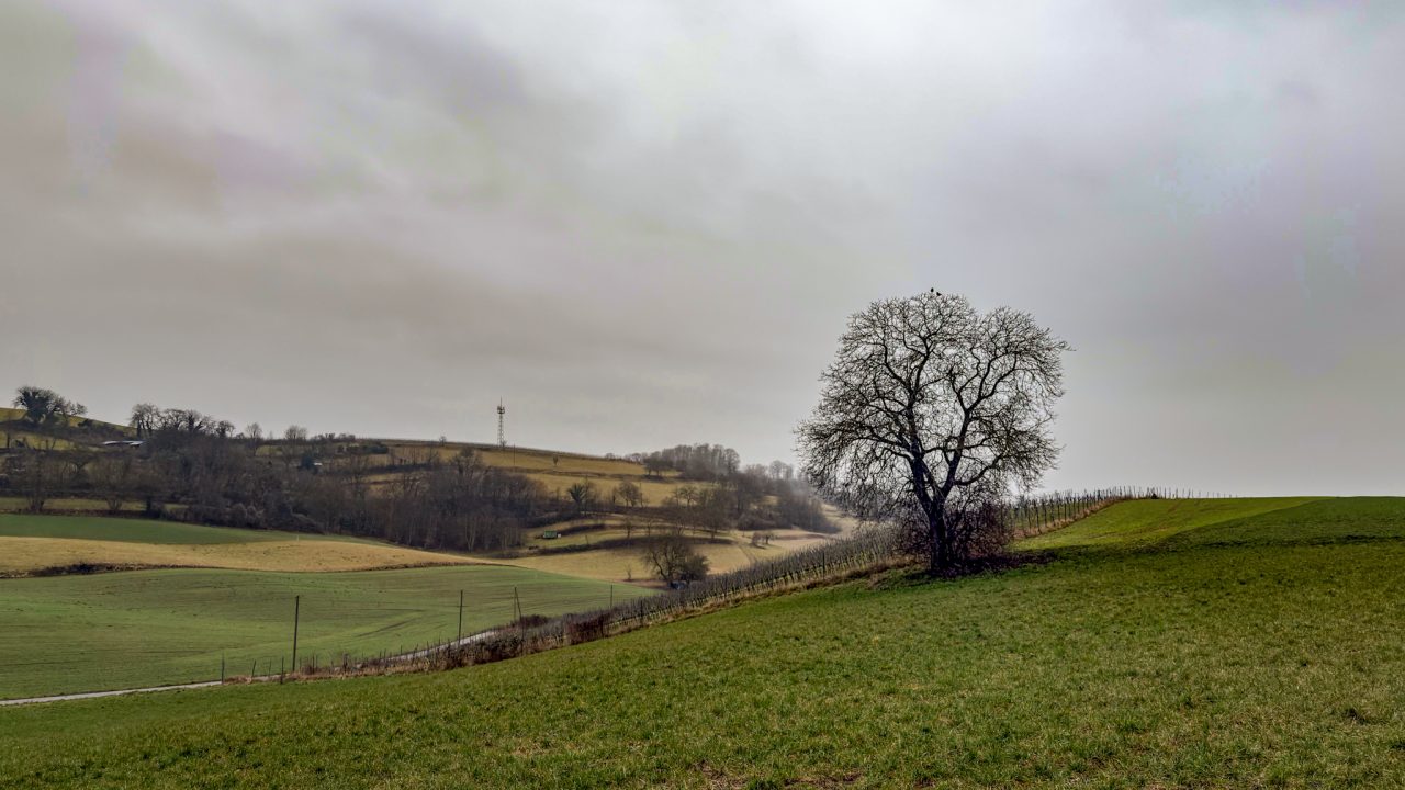 Heppenheim, Bergstraße