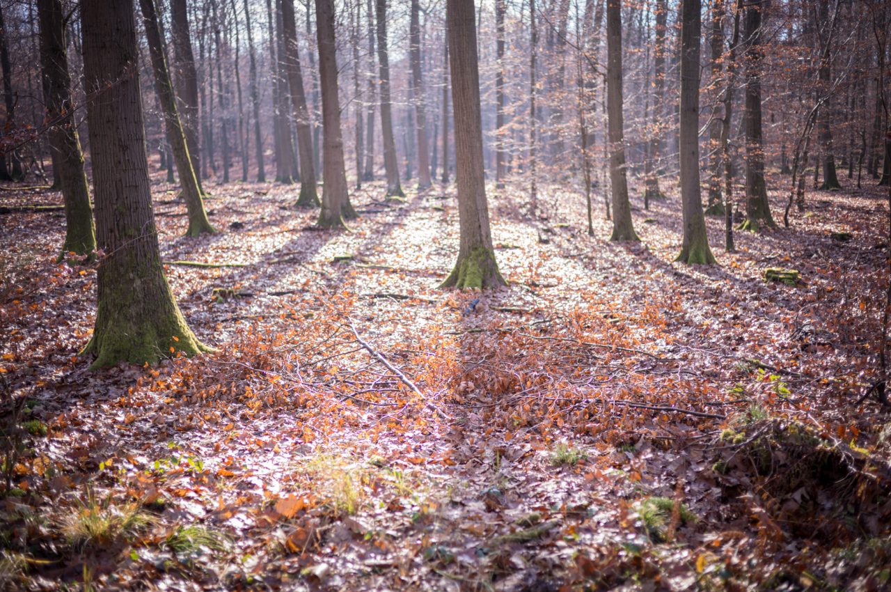 Landschaftsaufnahme