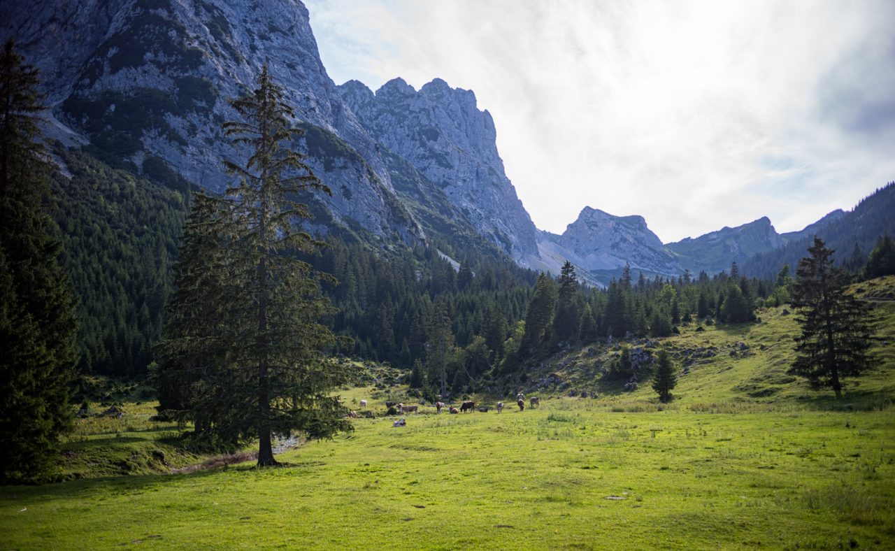 Landschaftsaufnahme