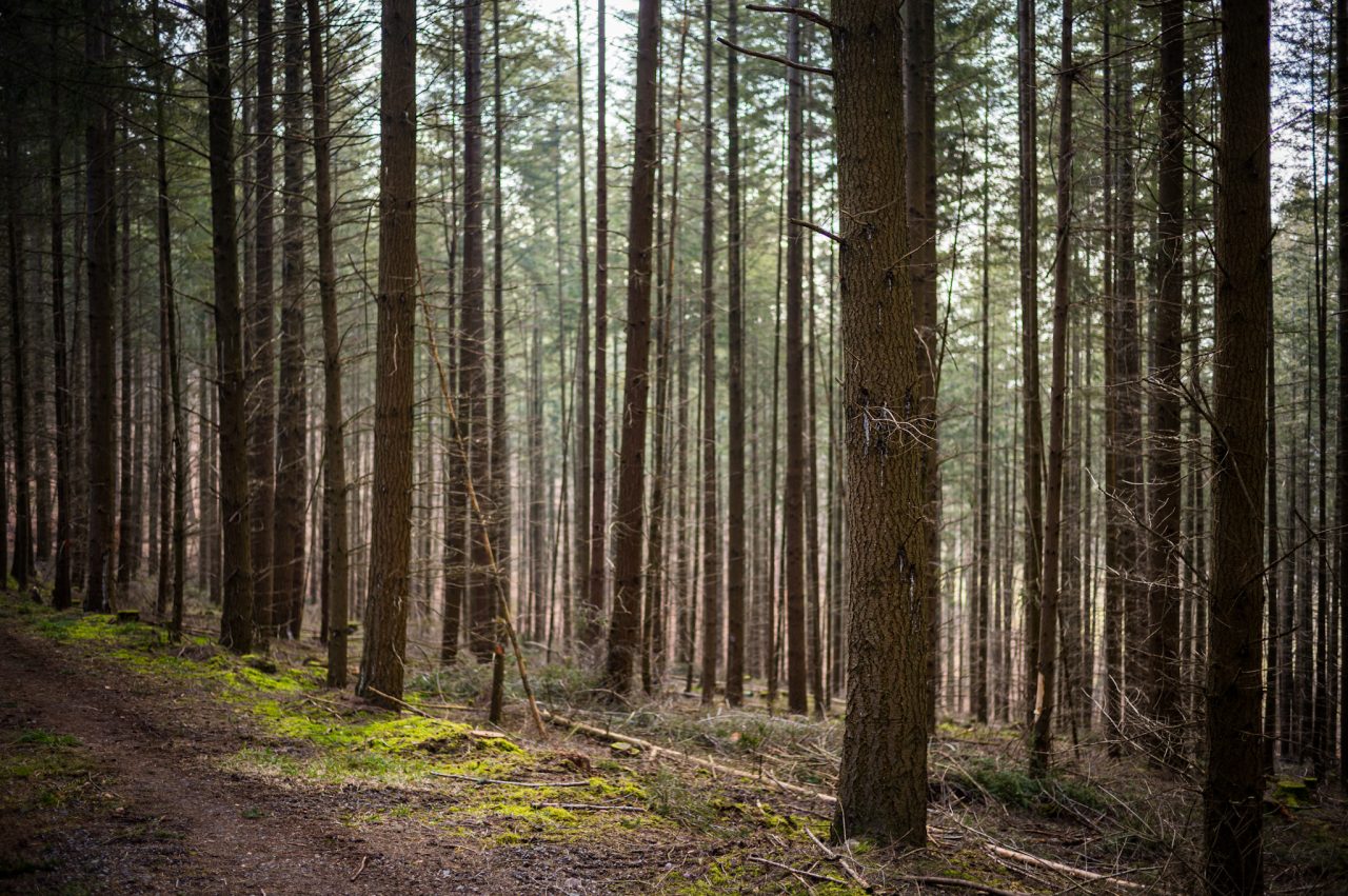 Höchst im Odenwald, Odenwaldkreis