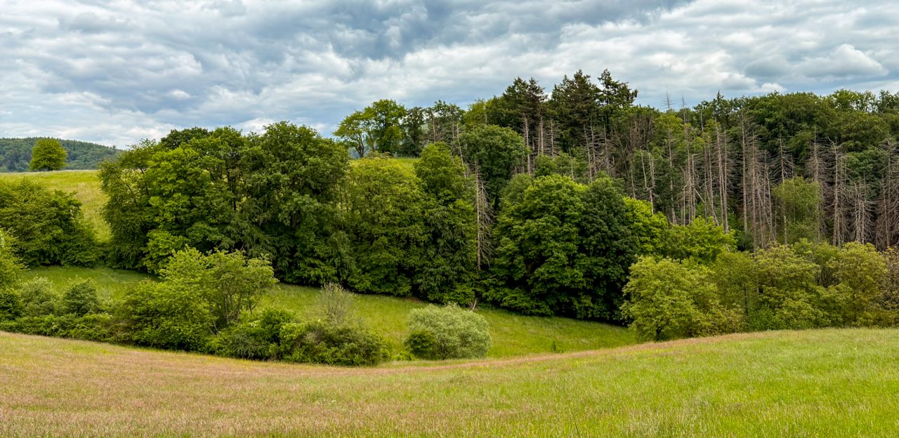 Hochstädten, Bergstraße