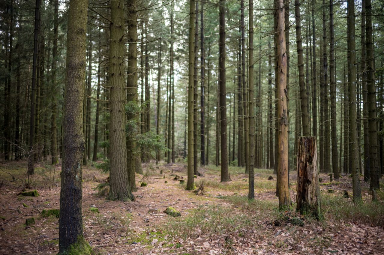 Landschaftsaufnahme