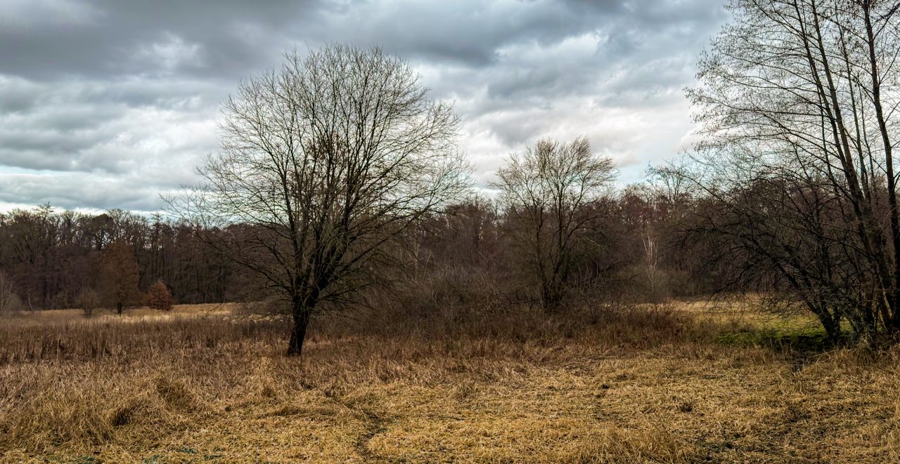 Darmstadt, Hessen
