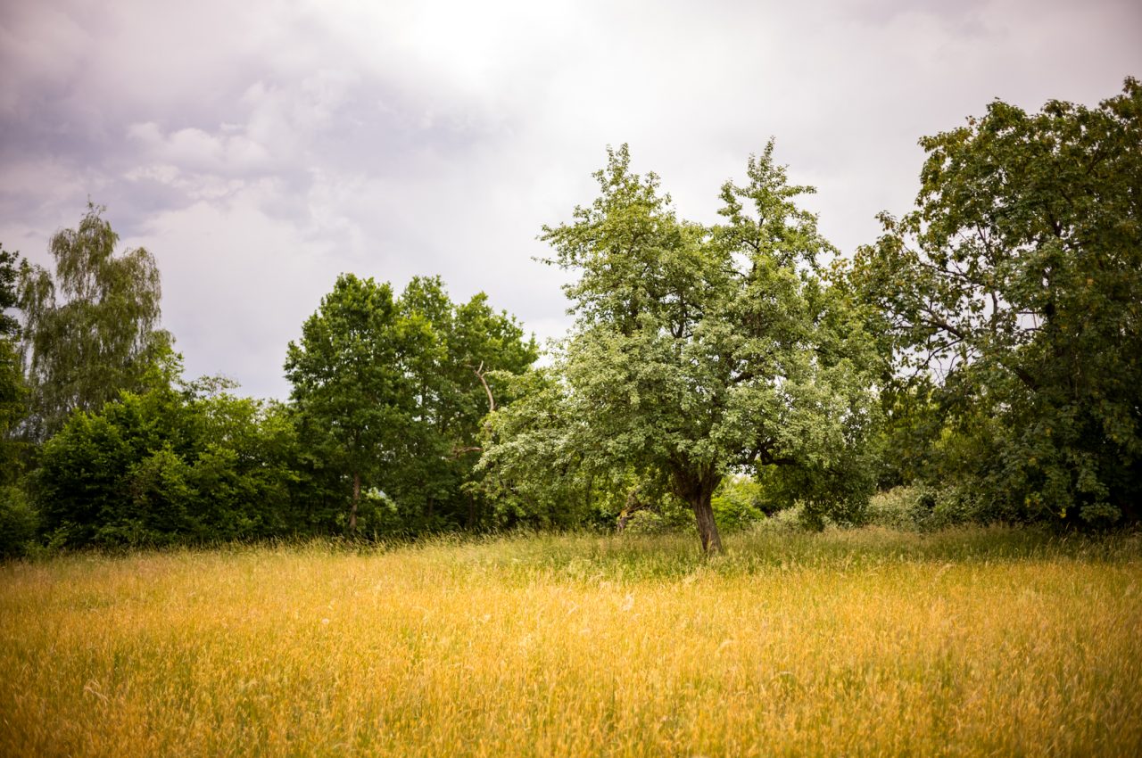 Landschaftsaufnahme