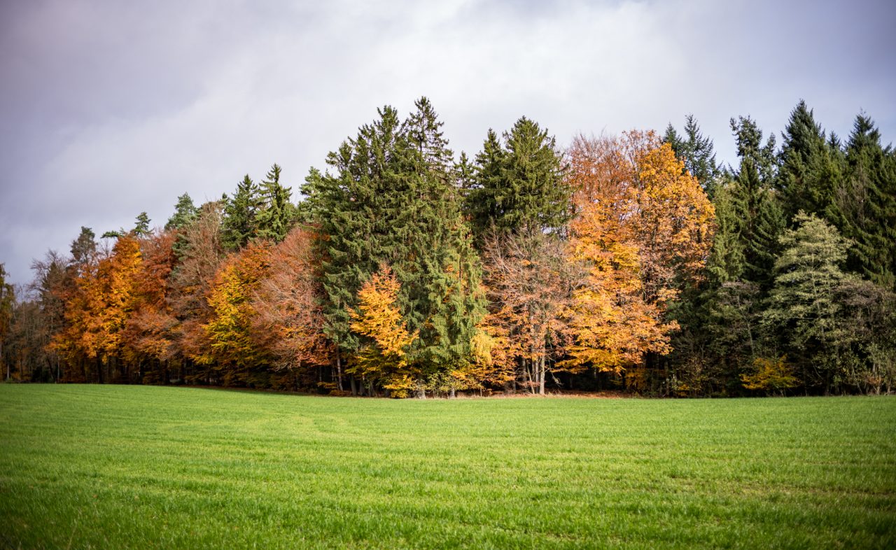Landschaftsaufnahme