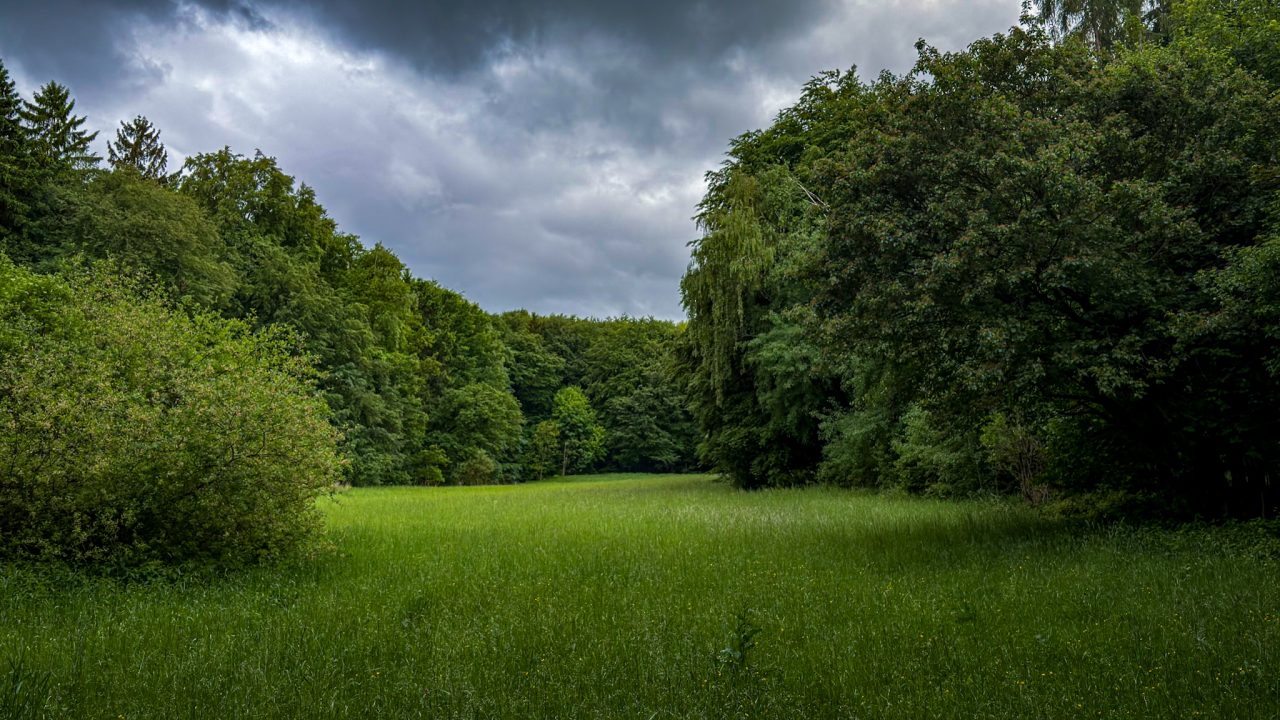 Ober-Ramstadt, Darmstadt-Dieburg