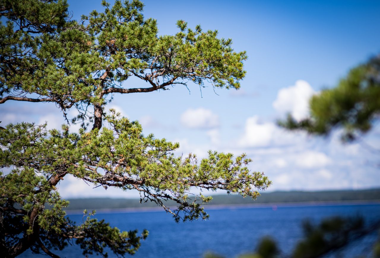 Årjäng, Värmland, Schweden