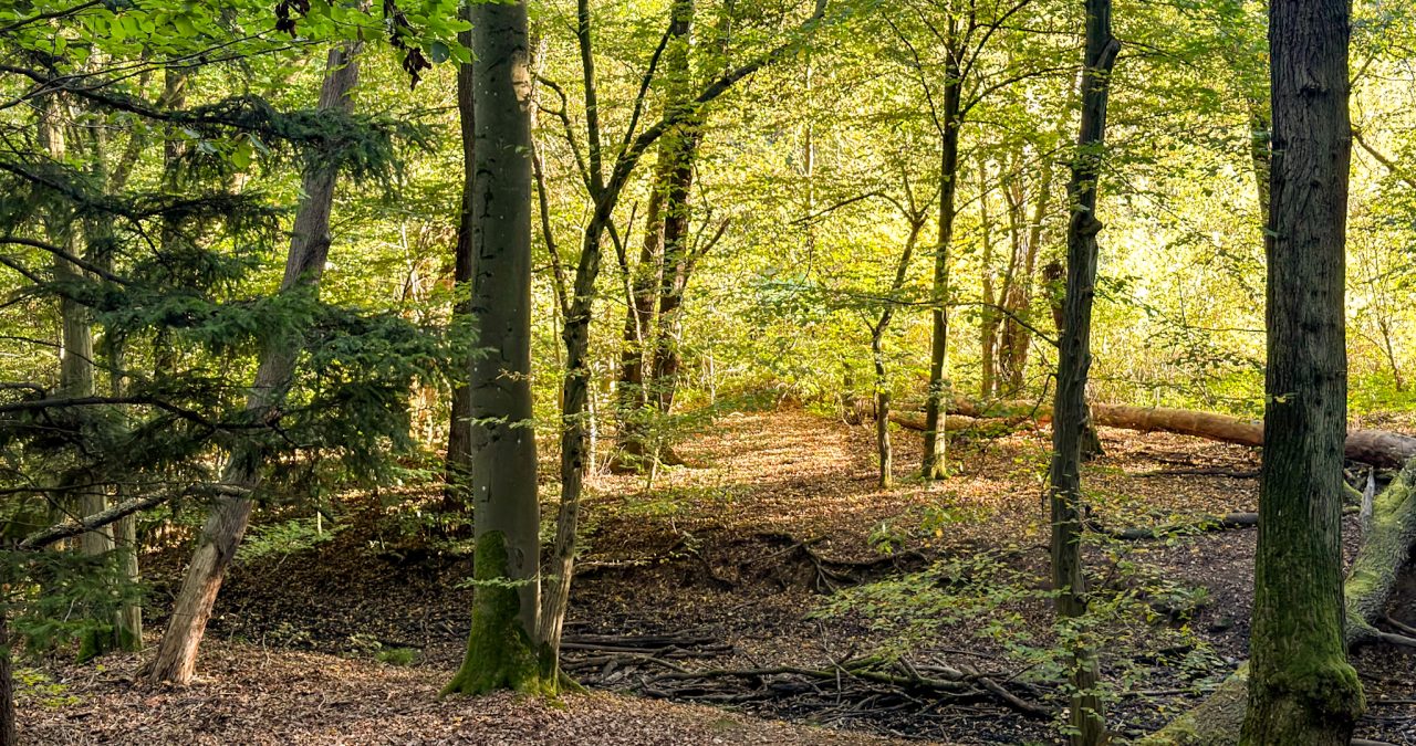 Landschaftsaufnahme