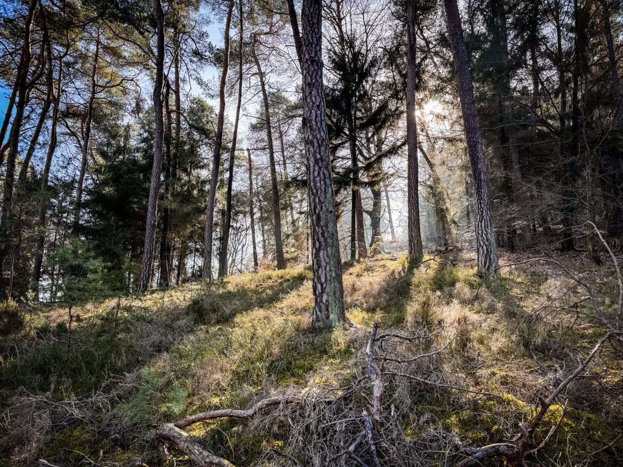 Neustadt an der Weinstraße, Rheinland-Pfalz