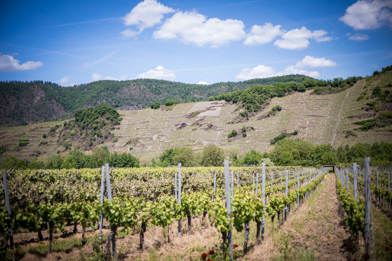 Bremm, Cochem-Zell