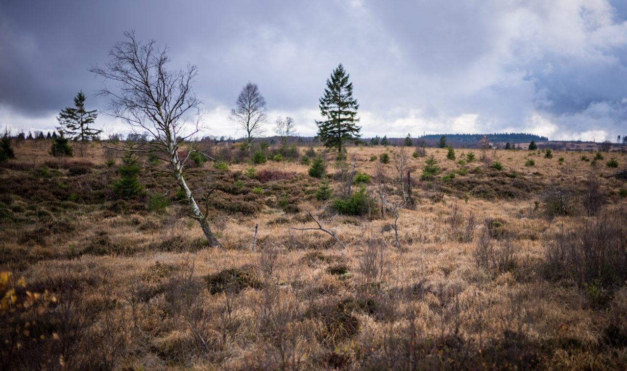 Landschaftsaufnahme