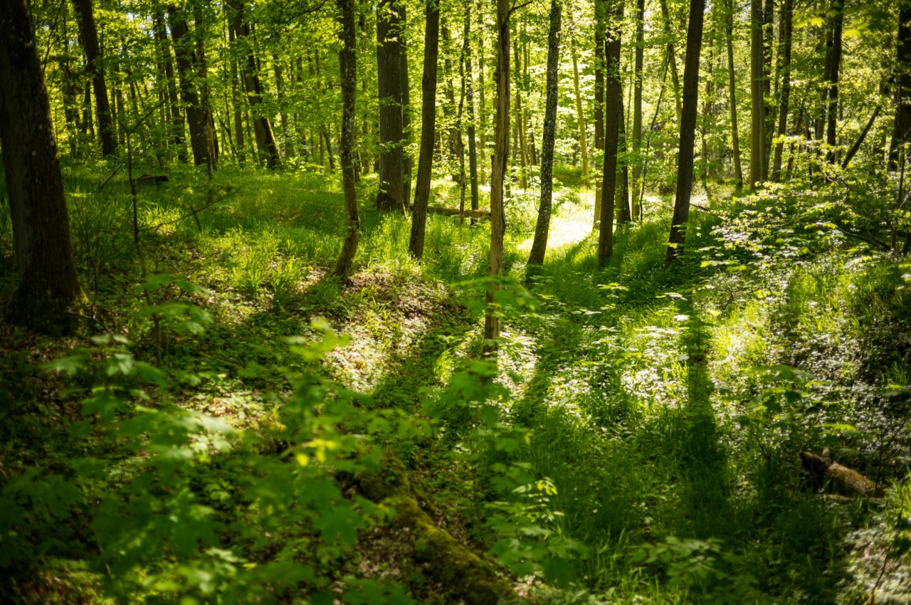 Landschaftsaufnahme